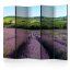 Artgeist Paraván - Lavender fields [Room Dividers]