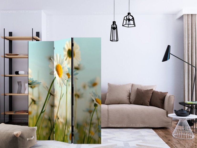 Artgeist Paraván - Daisies - spring meadow [Room Dividers]