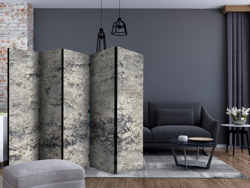 Artgeist Paraván - Grey Lady II [Room Dividers]