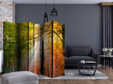 Artgeist Paraván - Forest Colours [Room Dividers]