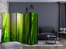 Paraván - Sun and bamboo [Room Dividers]