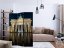 Artgeist Paraván - Berlin at Night [Room Dividers]