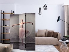 Artgeist Paraván - Classical dance - poetry without words [Room Dividers]