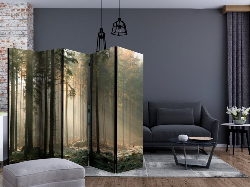 Artgeist Paraván - Foggy November morning [Room Dividers]