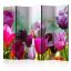 Artgeist Paraván - Beautiful Tulips II [Room Dividers]