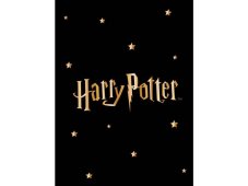 Detská deka Harry Potter Gold Stars 130x170 cm