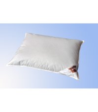 Termop vankúš Premium 70x90 cm perie/páper
