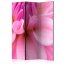 Artgeist Paraván - Flower petals - dahlia [Room Dividers]