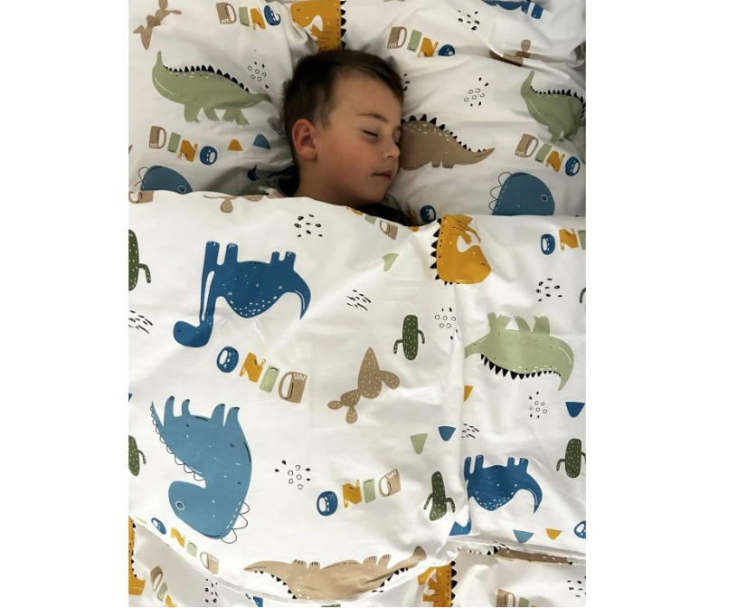 Bavlněné dětské povlečení 140x200, 70x90cm Dino