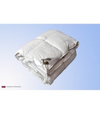Termop paplón Classic 160x200 cm celoročný perie/páper