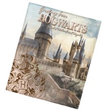 Dětská deka Harry Potter Bradavické Tajemství 130x160 cm