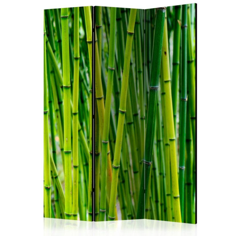 Artgeist Paraván - Bamboo Forest [Room Dividers]