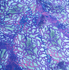 Obliečky Jak vycvičit draka 140x200, 70x90 cm