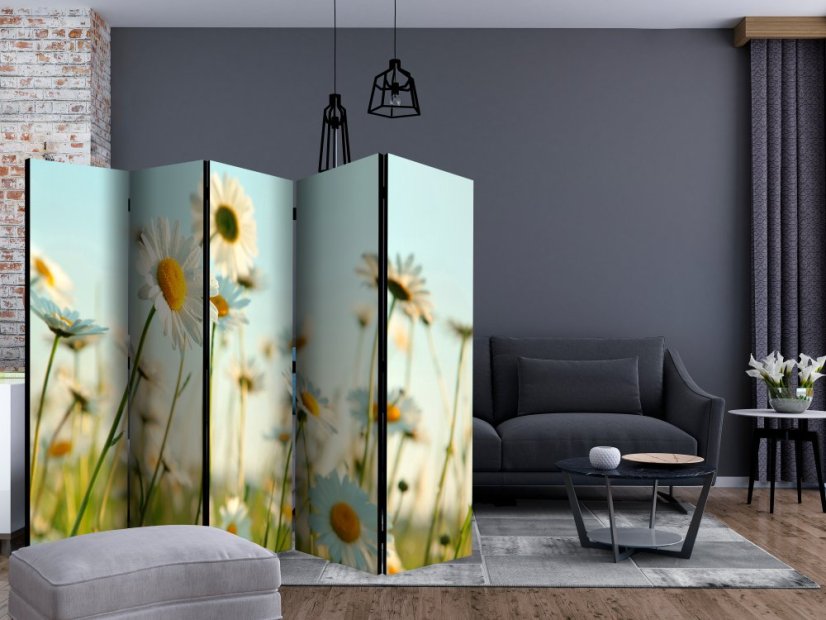 Artgeist Paraván - Daisies - spring meadow [Room Dividers]