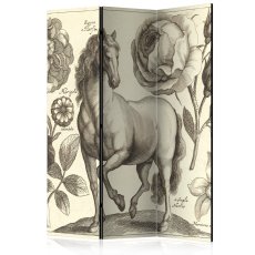 Artgeist Paraván - Horse [Room Dividers]