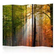 Paraván - Forest Colours [Room Dividers]
