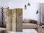 Artgeist Paraván - Art and butterflies [Room Dividers]
