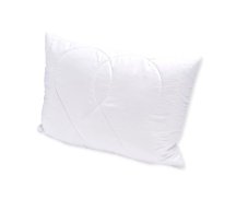 Brotex Vankúš Aloe vera 45x60 cm na zips