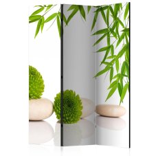 Paraván - Green Relax [Room Dividers