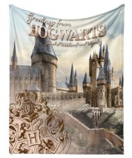 Dětská deka Harry Potter Bradavické Tajemství 130x160 cm