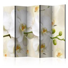 Paraván - Orchid Branch [Room Dividers]