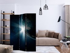 Artgeist Paraván - Earth [Room Dividers]