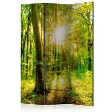 Artgeist Paraván - Forest Rays [Room Dividers]