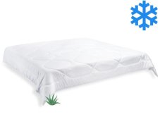 Brotex Prikrývka Aloe Vera zimná 240x200cm 2160 g