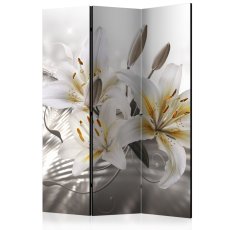 Artgeist Paraván - Crystalline Beauty [Room Dividers]