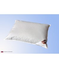 Vankúš Premium 50x70 cm perie/páper