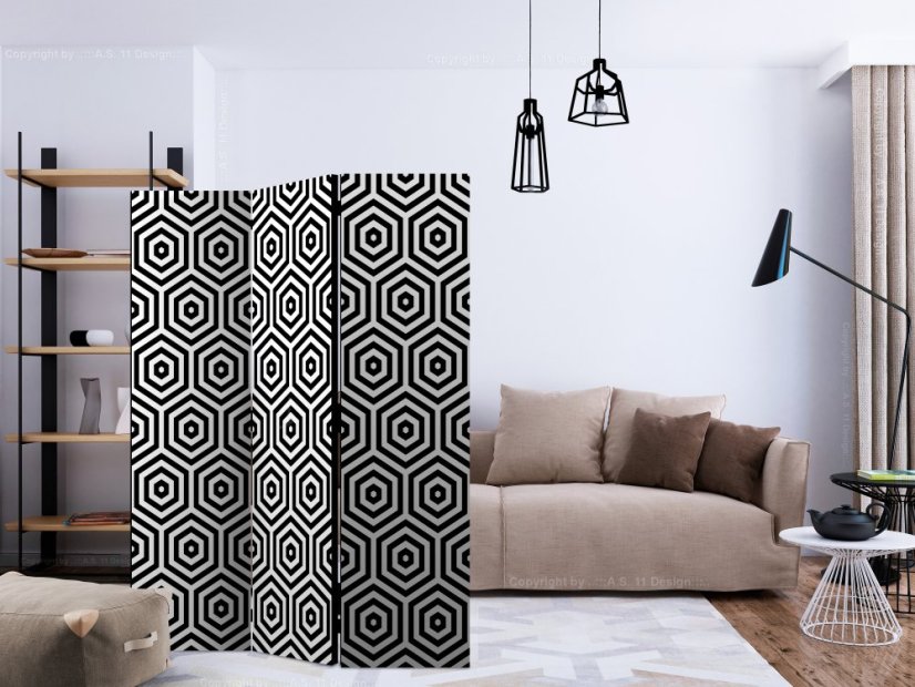 Artgeist Paraván - Black and White Hypnosis [Room Dividers]