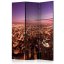 Artgeist Paraván - Chicago Panorama [Room Dividers]