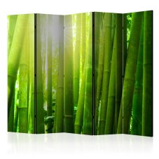 Paraván - Sun and bamboo [Room Dividers]