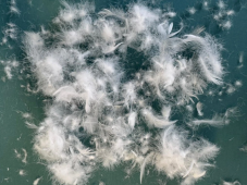 PÉŘOVÝ SET CLASSIC krémový 135x200/70x90 cm