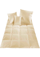 Prikrývka 100 % husacie perie 200x220 cm, 2500 g krémová sypka