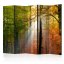 Artgeist Paraván - Forest Colours [Room Dividers]