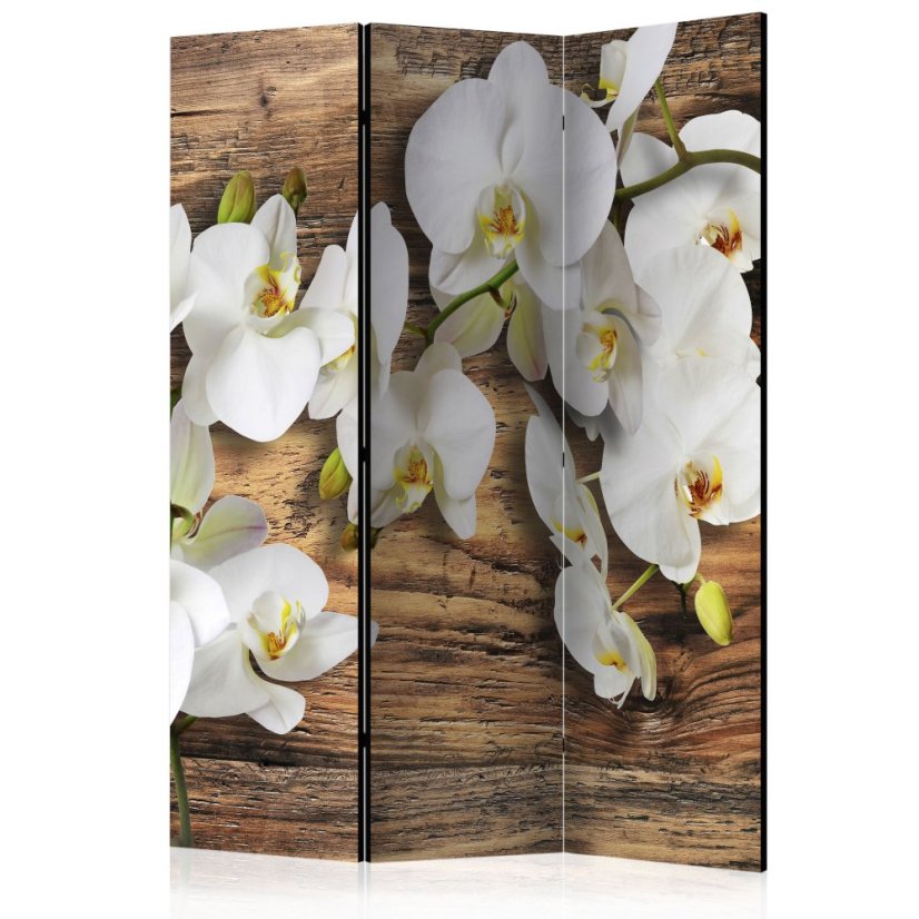 Artgeist Paraván - Forest Orchid [Room Dividers]