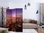 Artgeist Paraván - Chicago Panorama [Room Dividers]