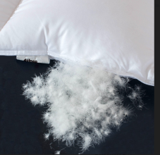 Luxusný Vankúš 100 % husacie páperie WHITE 40x60 cm, 600 g