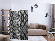 Artgeist Paraván - Black and White Hypnosis [Room Dividers]