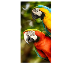 Froté osuška Barevní Papoušci Ara 70x140 cm