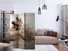 Artgeist Paraván - Beach and shell [Room Dividers]