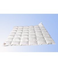 Termop paplón Luxus 200x200 cm celoročný páper