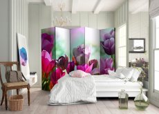 Artgeist Paraván - Beautiful Tulips II [Room Dividers]