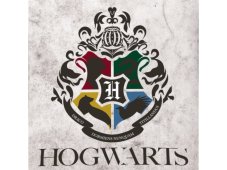 Dětská deka Harry Potter Famfrpál 130x170 cm