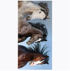 Froté osuška  Divocí Koně v Přírodě 70x140 cm