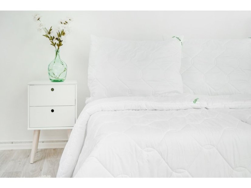 Luxusní celoroční set ALOE VERA MEDIC 140x200 / 70x90 cm