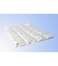 Termop paplón Premium 140x200 cm celoročný, perie/páper
