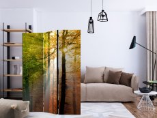 Artgeist Paraván - Forest Colours [Room Dividers]