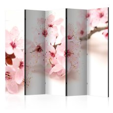 Artgeist Paraván -  Cherry Blossom II [Room Dividers]